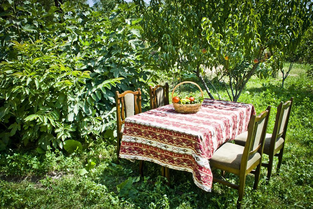 Noravank B&B Csiva Kültér fotó