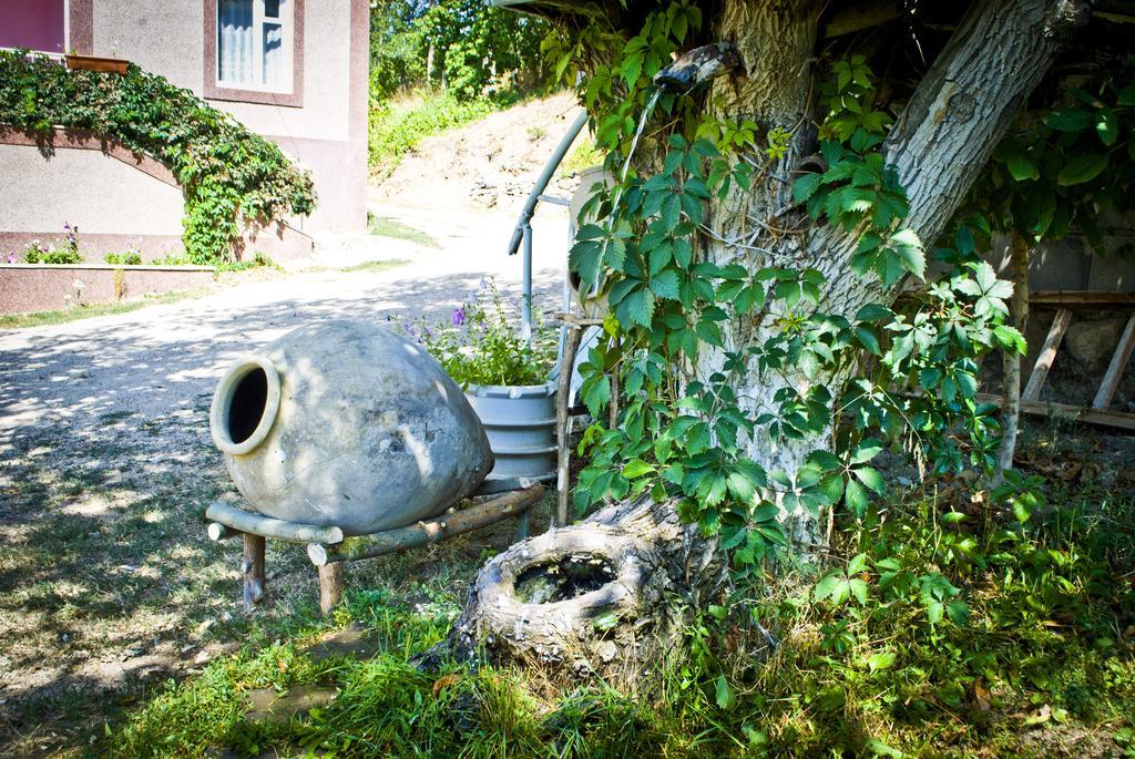 Noravank B&B Csiva Kültér fotó